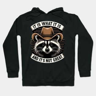 It Is What It Is and It's Not Great Western Raccoon Hoodie